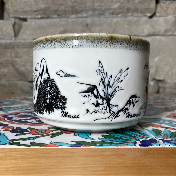 Hawaiian Vintage Novco Souvenir Mug - Picture 3 of 10
